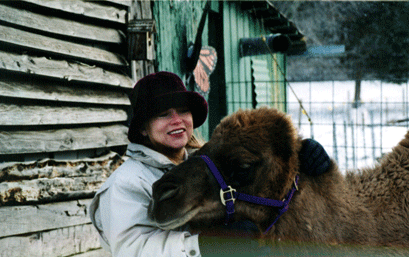 Amira and Abdul the Camel bonding in snow