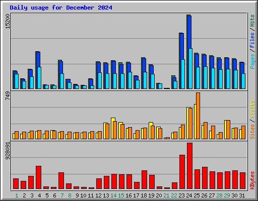 Daily usage for December 2024