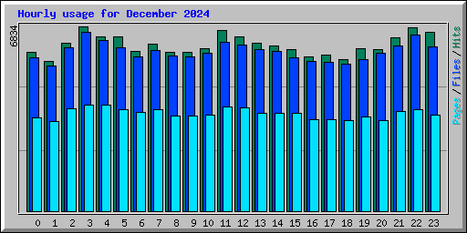 Hourly usage for December 2024