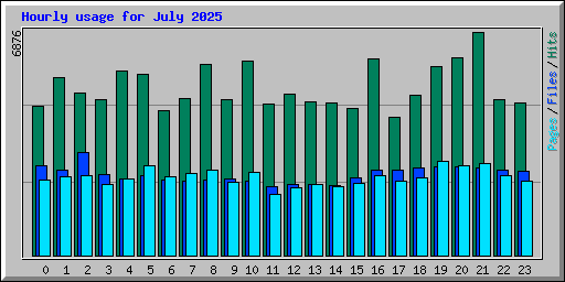 Hourly usage for July 2025