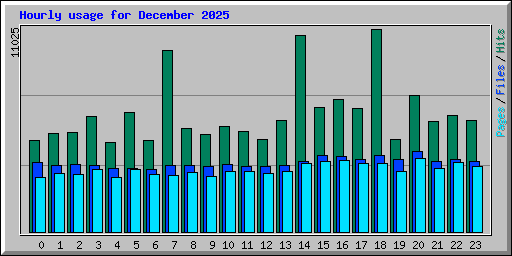 Hourly usage for December 2025