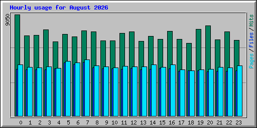 Hourly usage for August 2026