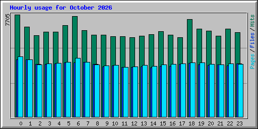 Hourly usage for October 2026